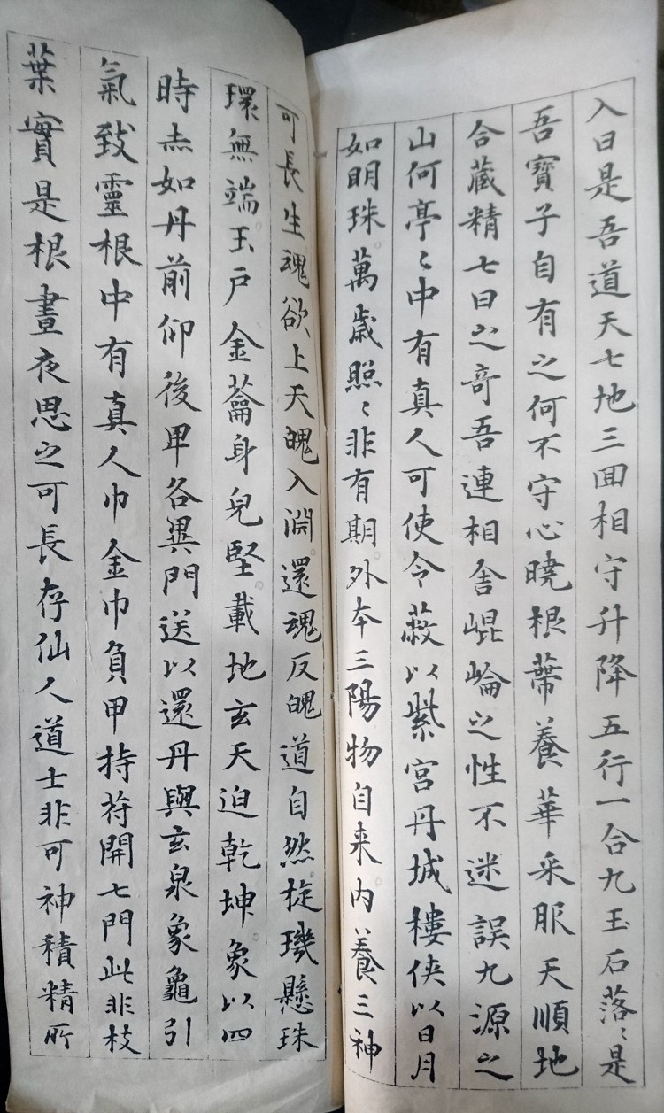 上田桑鳩『臨黄庭経』 2019/01/28 | 悠久堂書店